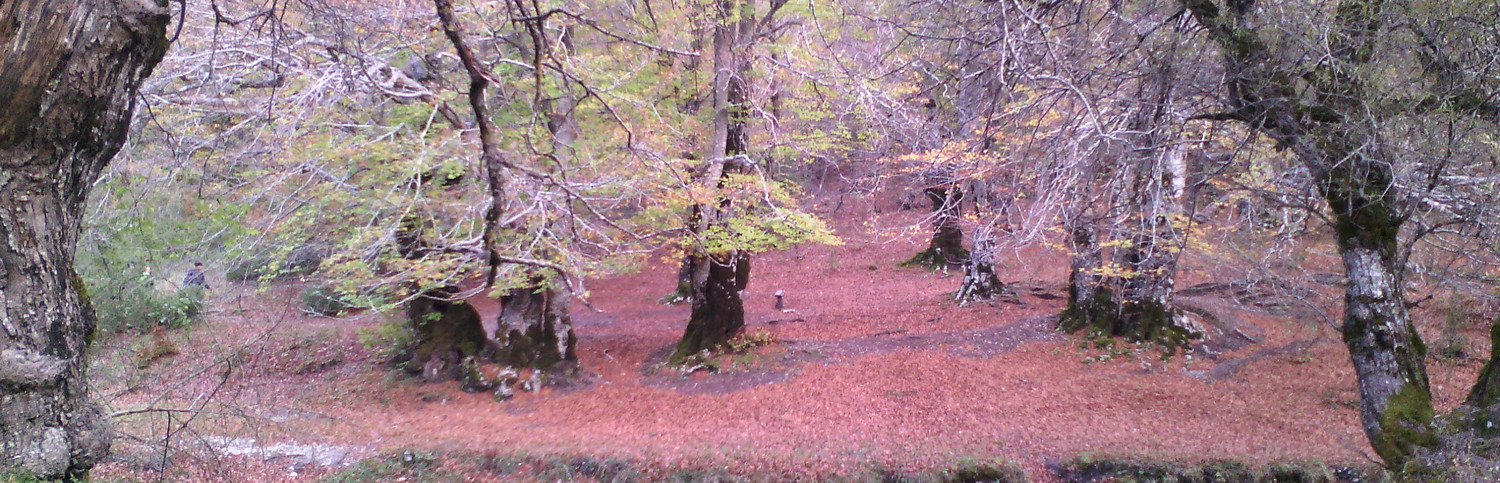 Vivi l'autunno a Villetta Barrea